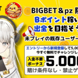 ビッグベットカジノ入金不要ボーナス